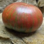 Mississippi Queen Tomato