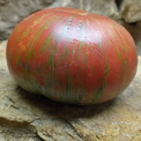 Mississippi Queen Tomato