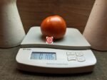 Marglobe Heirloom Tomato