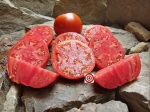 Marglobe Tomato Seeds