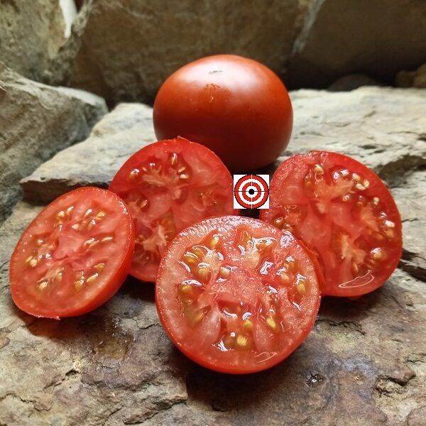 Mong Tomato