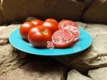 Moskvich Beefsteak Tomato