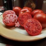 Moskvich Tomato