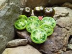 Muddy Waters Tomato