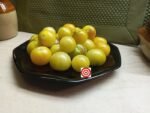 Napa Chardonnay Blush Tomato