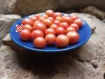 Napa Rose Tomato