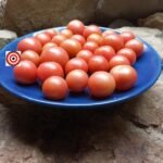 Napa Rose Tomato
