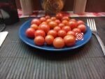 Napa Rose Tomato Seeds