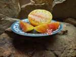 Oaxacan Jewel Tomato