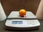 Big Sungold Tomato - These were derived out of Sungold Tomatoes. They are a sweet in flavor. They are a larger cherry weighing from 2-3oz.