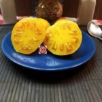 Tomato AAA Sweet Solano Tomato