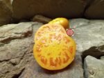 Tomato Amana Orange Tomato