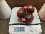 Tomato Amethyst Jewel Tomato