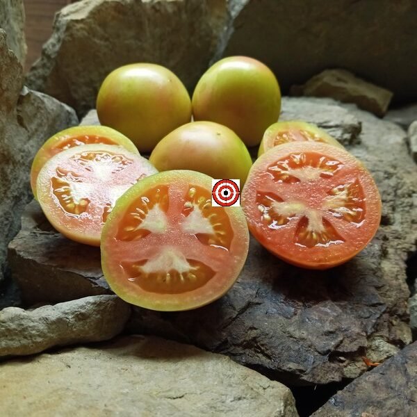 Tomato Stoney's Neighbors Rare Tomato Seeds