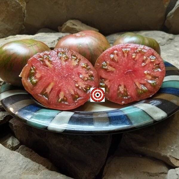 Pink Berkeley Tie Dye Tomato