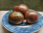 Pink Berkeley Tie Dye Tomato Seeds