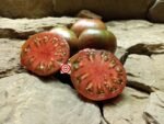 Pink Berkeley Tie Dye Tomato by Brad Gates