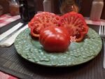President Garfield Beefsteak Tomato