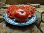 President Garfield Tomato Seeds