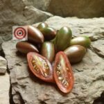 Purple Smaragd Tomato