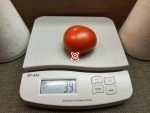 RAF Slicing Tomato