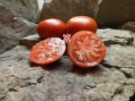 RAF Tomato