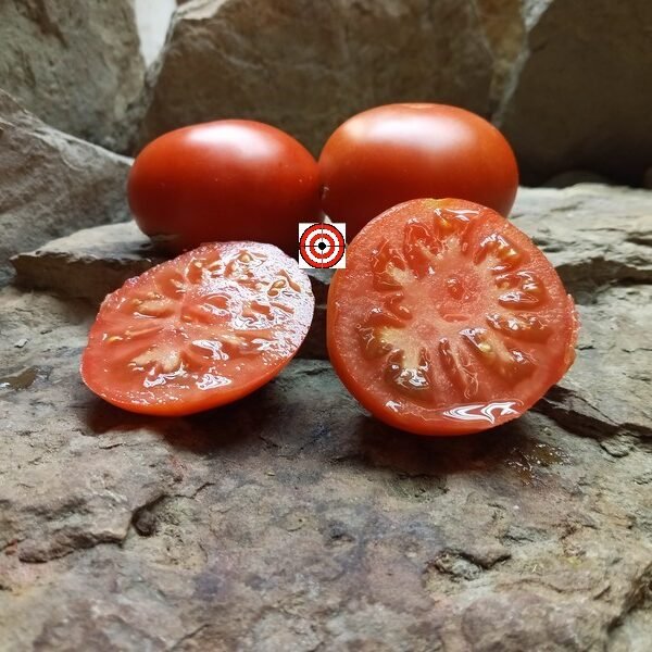 RAF Tomato