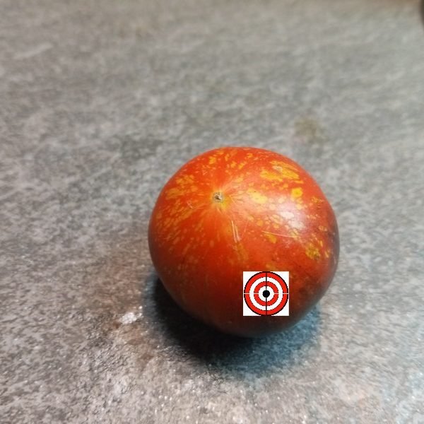 Red Beauty Tomato