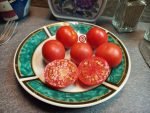 Red Belly Slicing Tomatoes
