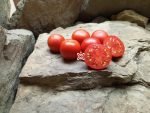 Red Belly Tomato