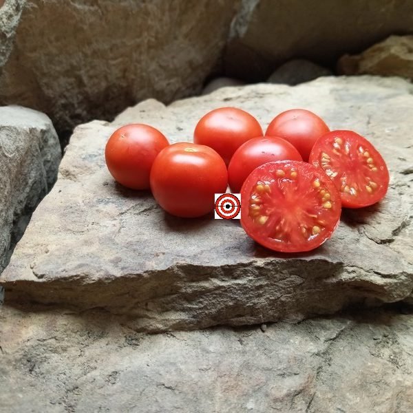 Red Belly Tomato