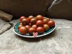 Ron's Carbon Copy Tomato