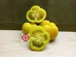 Specialty Tomato Yellow Stuffer Tomato