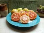 Stoney's Neighbors Rare Tomato