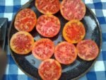 Stoney's Neighbor's Tomato Open Pollinated