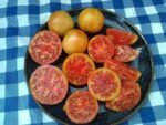 Stoneys Neighbors Tomato open pollinated OP