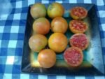 Stoneys Neighbors Tomato orange