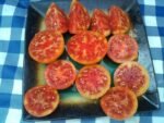 Stoney's Neighbor's Tomato productive