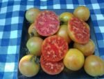 Stoneys Neighbors Tomato seeds