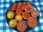 Stoney's Neighbors Tomato yellow beefsteak