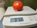 Super Fantastic F3 Tomato Seeds.