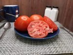 Super Fantastic F3 Tomato Slicing Tomatoes.