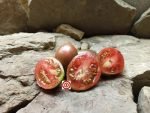 Sweet Tooth Tomato by Brad Gates