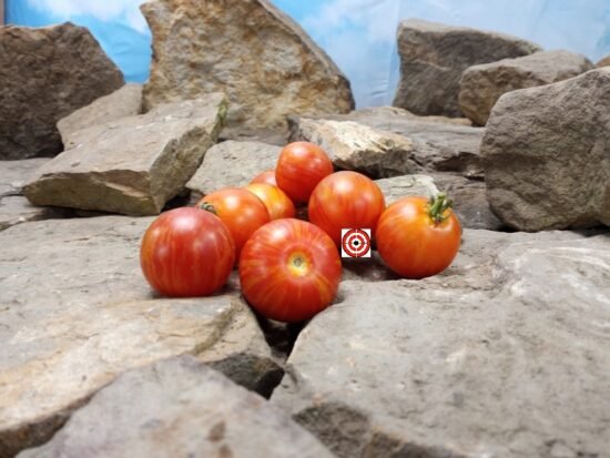 Turkish Striped Monastery Tomato Market Tomatoes