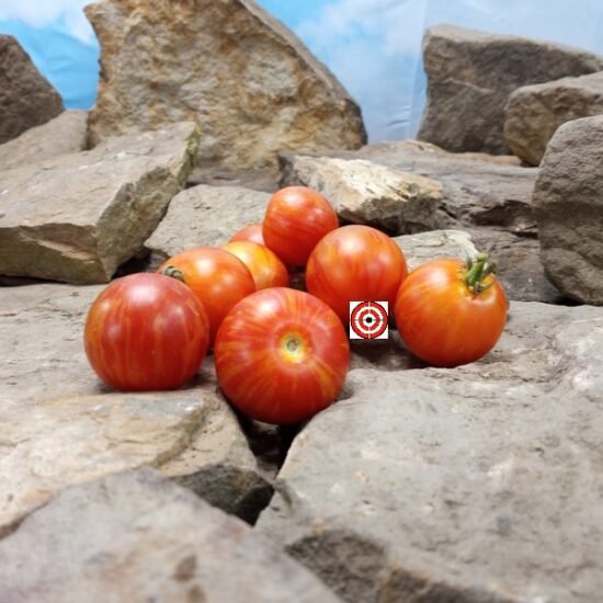Turkish Striped Monastery Tomato Market Tomatoes