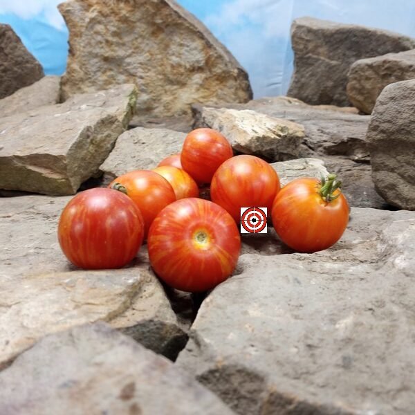 Turkish Striped Monastery Tomato Market Tomatoes
