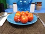 Turkish Striped Monastery Tomato Seeds