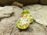 Victoria Smiles Green Tomato