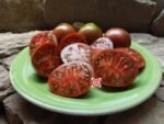 Wine Jug Tomato