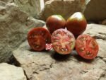 Wine Jug Tomato by Brad Gates